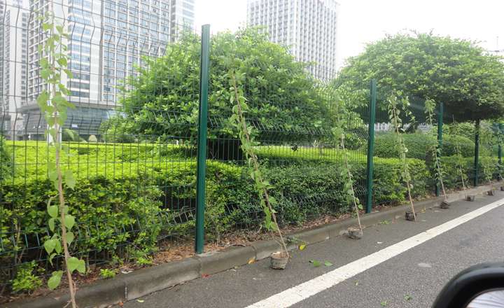 東莞大道
